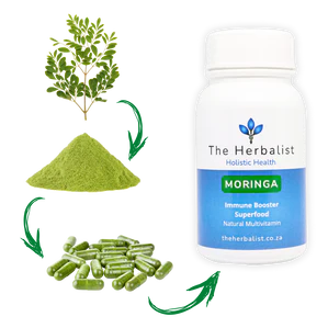 Science-Backed Vitality for Every Body